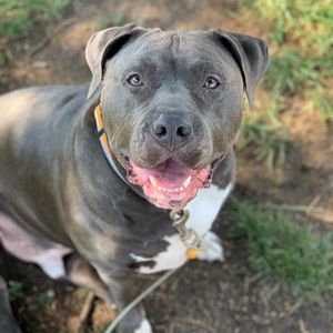 Meet your Posher, Alberta